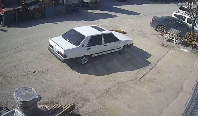 Bolu'da köpeğin üzerinden geçen sürücü gözaltına alındı