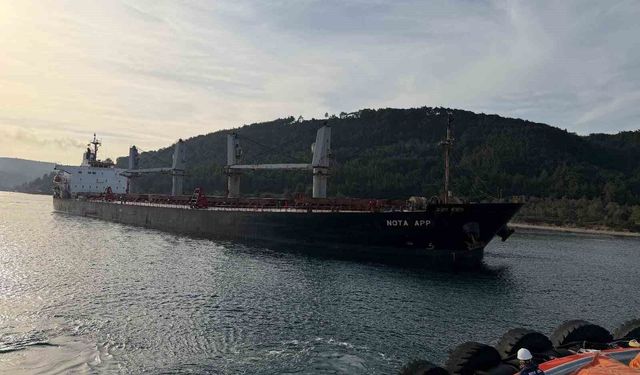 Çanakkale Boğazı'nda makina arızası nedeniyle karaya oturan gemi kurtarıldı