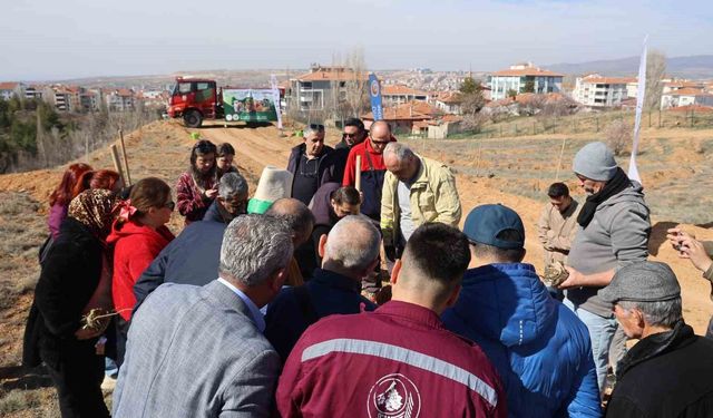 Çanakkale şehitleri için 438 fidan toprakla buluştu