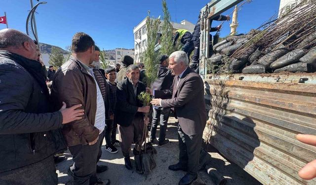 Çermik'te çiftçilere 10 bin adet fidan