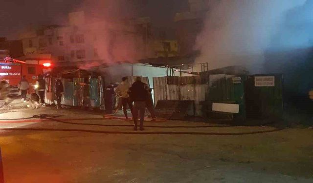 Çiftlik, alevlere teslim oldu