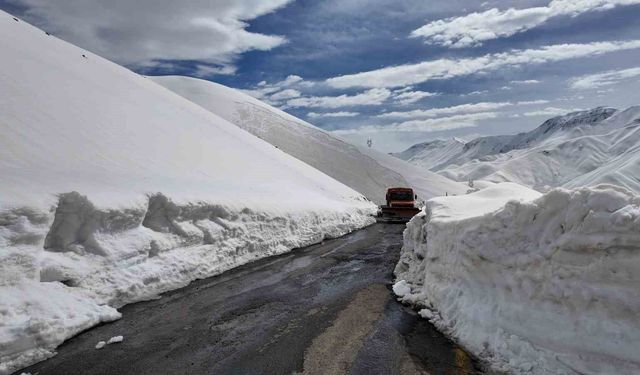 Çığ düşen yolu açma çalışmaları başlatıldı