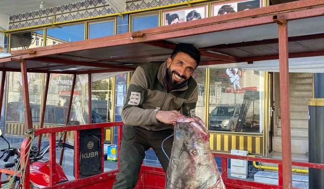 Çüngüş'te 100 kiloluk turna balığı yakalandı