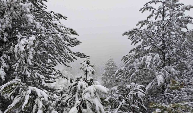 Demirci'nin yüksek kesimlerinde kar yağışı etkili oluyor