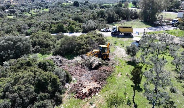 Didim Belediyesi ekiplerinden temizlik çalışması