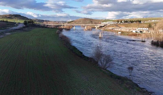 Diyarbakır'da yağışlar yüzde 248 arttı, rekoltede yüzde 50 artış bekleniyor