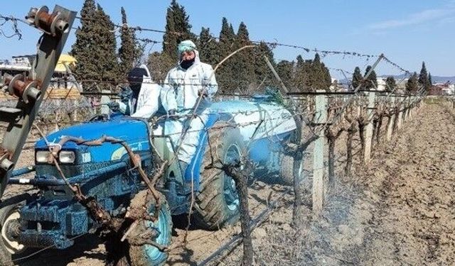 Erzincan Tarım Müdürlüğü'nden bordo bulamacı uyarısı: Uygulama zamanını kaçırmayın
