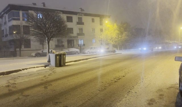 Erzincan'da kar yağışı