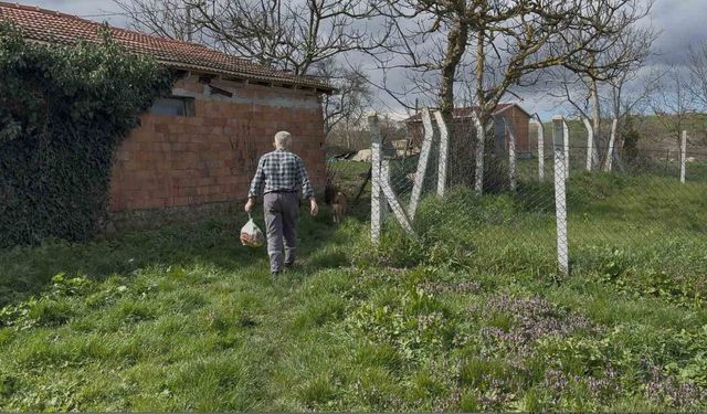 Ev var yol yok: 62 yaşındaki adam 10 yıldır tarladan yürüyor