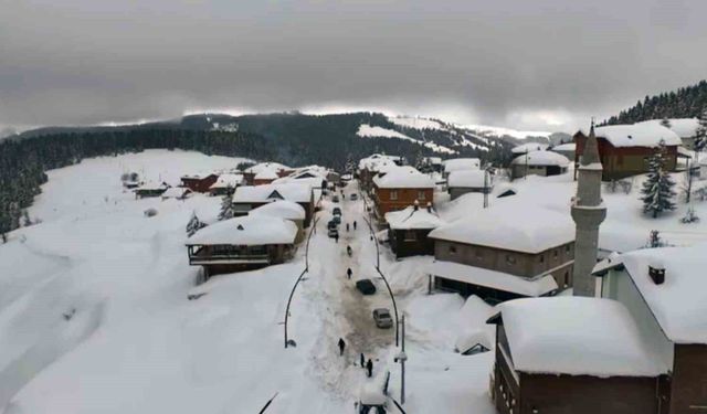 Giresun yaylalarında görsel şölen