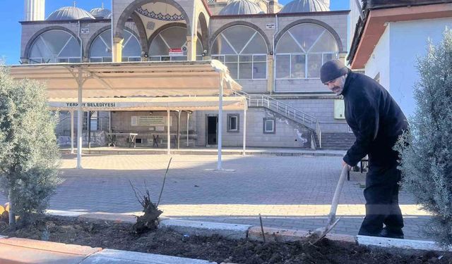 Gönüllü olarak cami önündeki çiçeklerin bakımını yapıyor