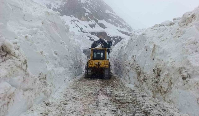 Hakkari'de 56 yerleşim yerinin yolu ulaşıma kapandı