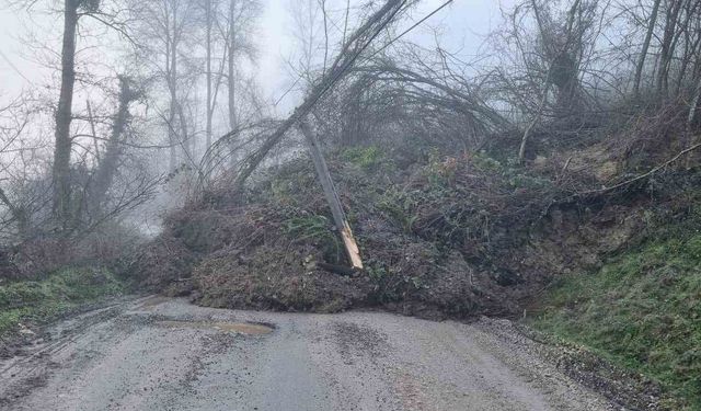 Heyelan köy yolunu ulaşıma kapattı
