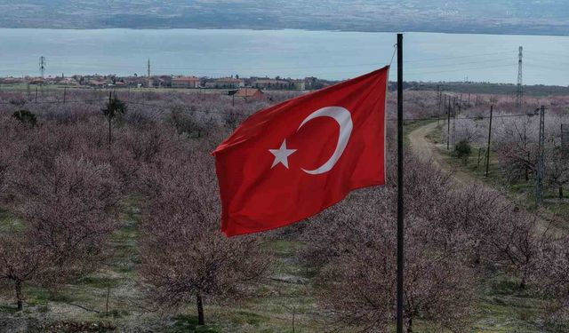 Kayısı bahçeleri beyaza büründü, ortaya eşsiz manzaralar çıktı