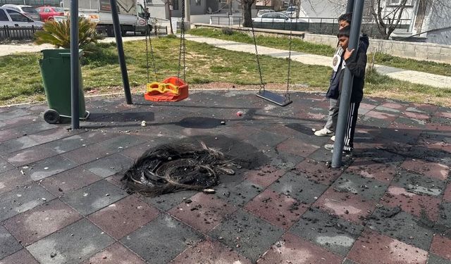 Keşan'da çocuk parkında yakılan ateş oyun gruplarına zarar verdi