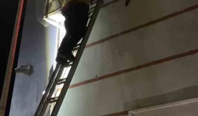 Klima motoruna sıkışan yavru kedi kurtarıldı