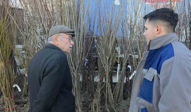 Kütahya'da fidan satışlarına ilgi