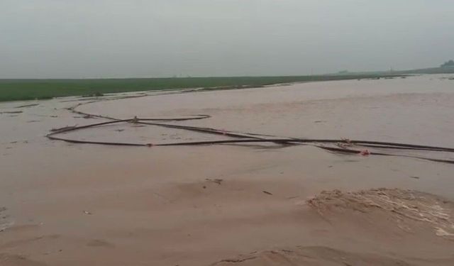Mardin'de sağanak hayatı felç etti: Dereler taştı, ahır çöktü
