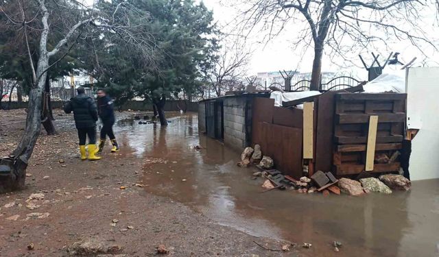 Mardin'de su basan kümeste 5 tavuk telef oldu