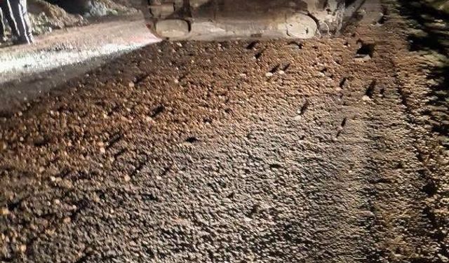 Mazıdağı'nda otomobil takla attı: 5 yaralı