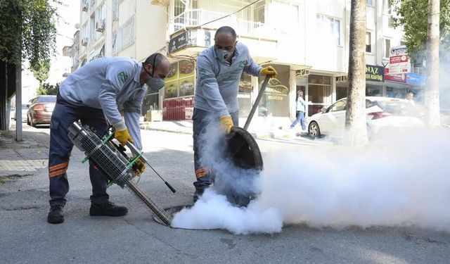 Mersin Büyükşehir Belediyesi kent genelinde haşereyle mücadeleyi sürdürüyor