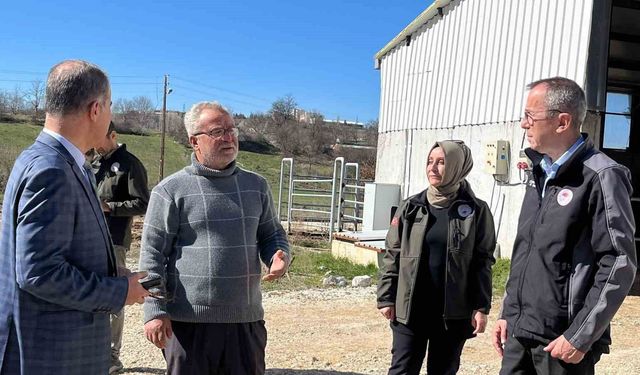 Müdür Ayvalık, üreticilerle tarım ve hayvancılığı inceledi