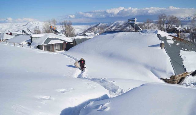 Muş'ta 1800 rakımlı köy kara gömüldü: Evler kar altında, ulaşım tünellerle sağlanıyor