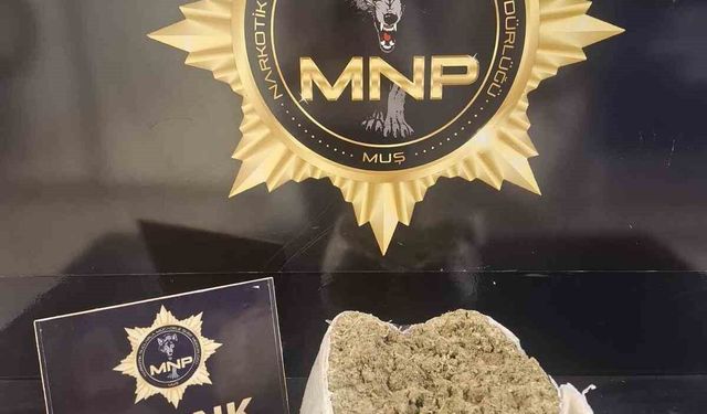 Muş'ta yolcu otobüsünde 2 kilo 72 gram skunk ele geçirildi