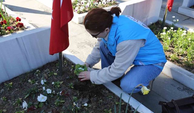Samsun'da şehit mezarlarının bakım ve temizliği için seferberlik başlatıldı