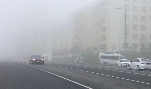 Şanlıurfa'da yoğun sis etkili oldu