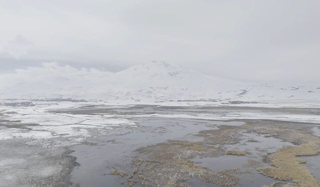 Sarısu sazlıkları ile Süphan Dağı'nın karlı zirvesi göz kamaştırıyor