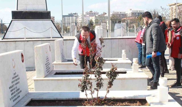 Siirt'te bayram öncesi şehitliklerde bakım, onarım ve temizlik seferberliği