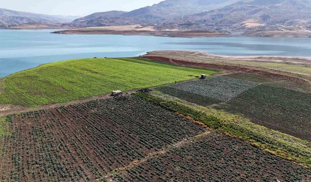 Siirt'te su tahliyesi uyarısı