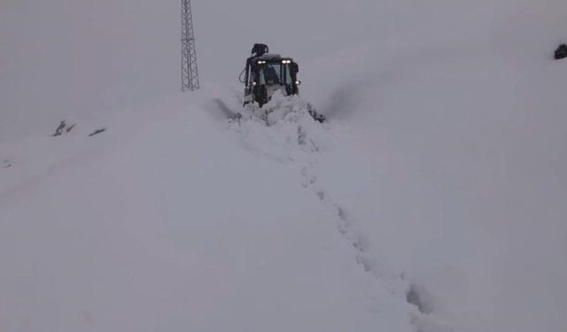 Şırnak'ta kar yolları kapattı
