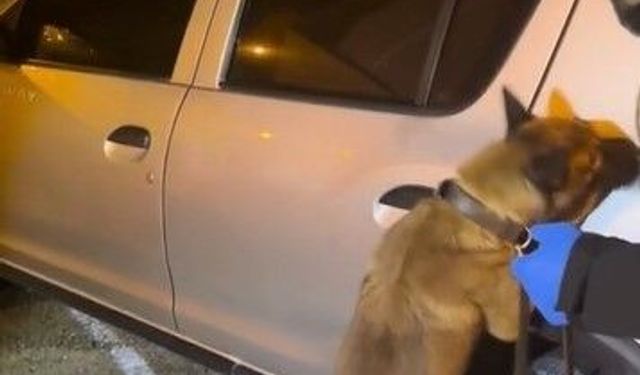 Söke ve Çine'de uyuşturucu operasyonu: 2 şüpheli tutuklandı