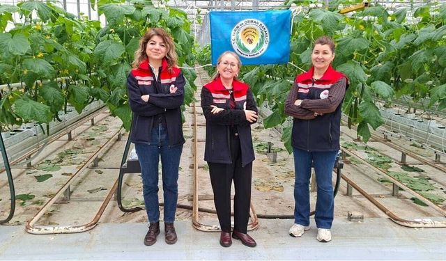 Tekirdağ'da kalıntısız üretime sertifika