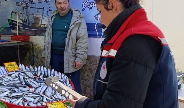 Tekirdağ'da su ürünleri denetimi aralıksız sürüyor