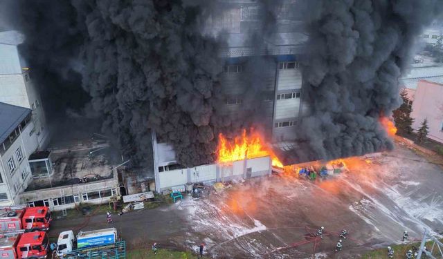 Trabzon'da fındık fabrikasında yangın