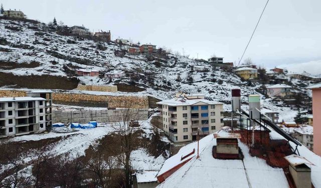 Tunceli'de mart sabahında kar sürprizi