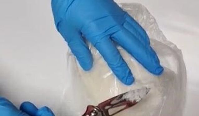 Tunceli'de uyuşturucu operasyonu: 1 kişi tutuklandı