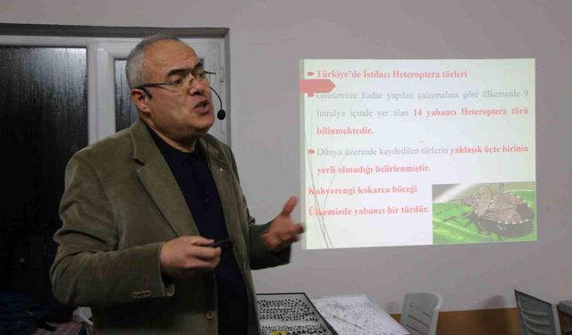 Uzmanı kahverengi kokarca için tarih verdi: '2030 yılından itibaren gündemden çıkmaya başlayacak'