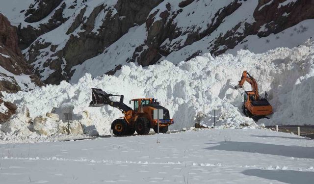 Van-Hakkari kara yolunda çığ sonrası çalışmalar sürüyor