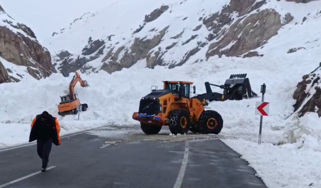 Van-Hakkari karayolunda çığ: Çok sayıda araç mahsur kaldı