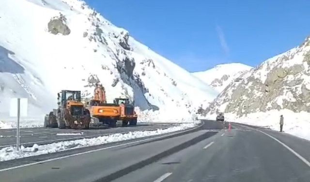 Van-Hakkari yolu yeniden ulaşıma açıldı
