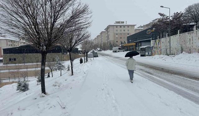 Van'da mart ayı kapıdan baktırdı: Kar yağışı ulaşımı durdurdu