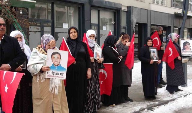 Vanlı anne: 'Artık çocuklarımızı gömmeyelim, silahlarımızı gömelim'