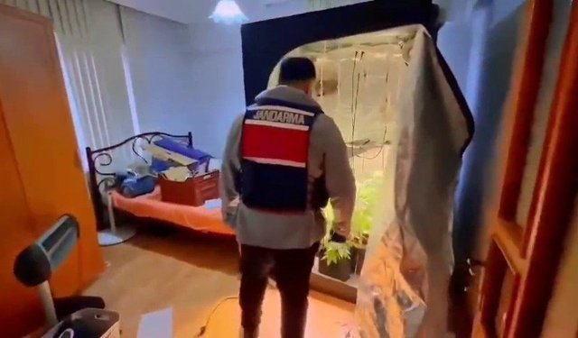 Yalova'da evinde uyuşturucu yetiştiren şüpheli yakalandı