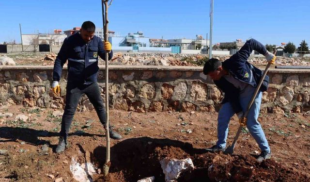 Yukarıgöklü Kent Parkı yeşile bürünüyor