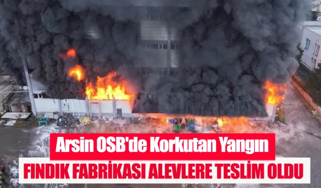 Arsin OSB'de fındık fabrikası alevlere teslim oldu