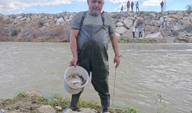 10 yıllık kuraklığın hakim olduğu çayda balık avladılar